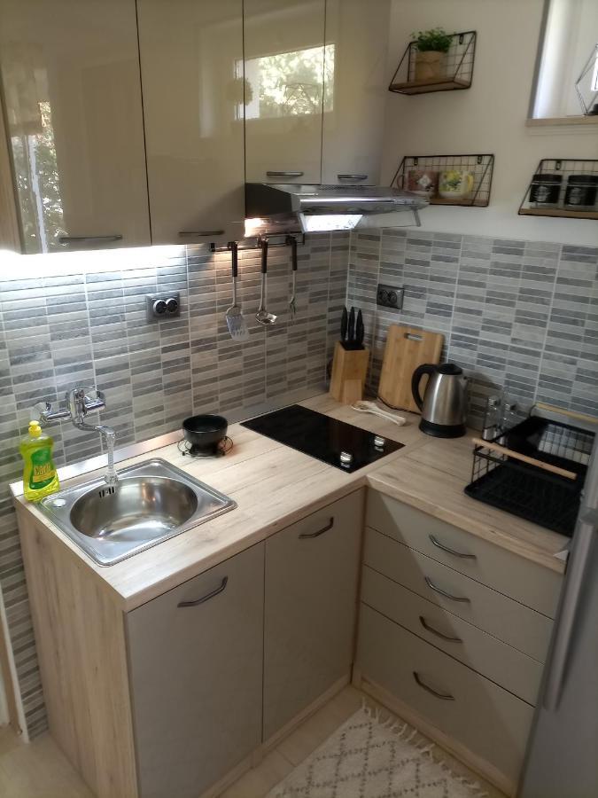 Studio Apartment Lile Trstenik Kültér fotó